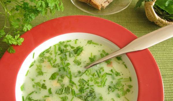 Засищащи пролетни супи