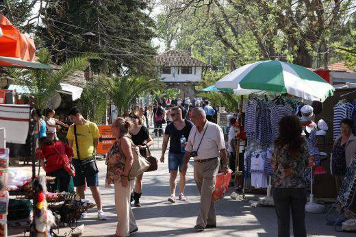 Фекалии морят ценни дървета в Балчик