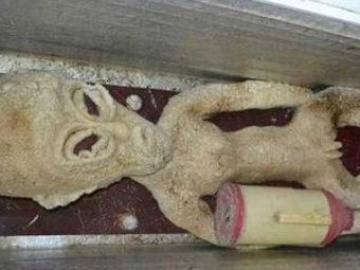 Фотосесия с извънземен взриви интернет (снимки)