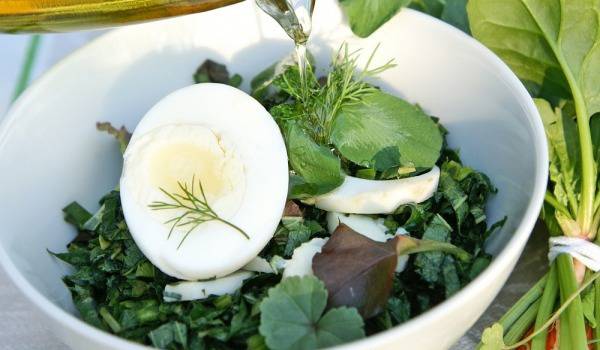 Зелена диета с лапад, киселец и коприва