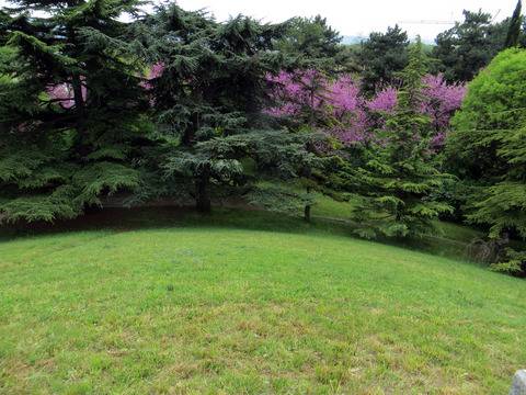 Косене на тревни площи Варна