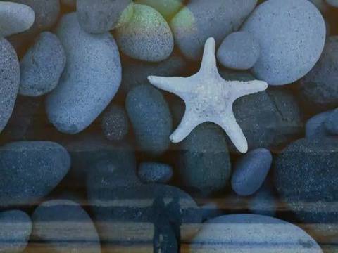 Лятно слънцестоене 2013 – Любовта е във въздуха