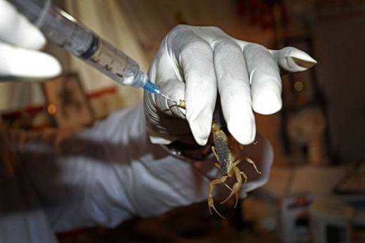 Елена Банова: Препарат с отрова от син скорпион е с доказан антитуморен ефект!