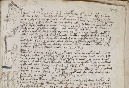 Ново изследване доказва, че в ръкописа на Войнич има скрито послание