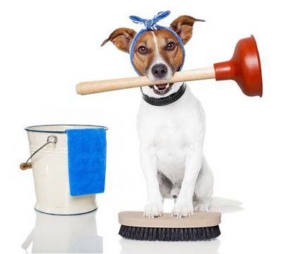 Забавни мисли за домакинската работа