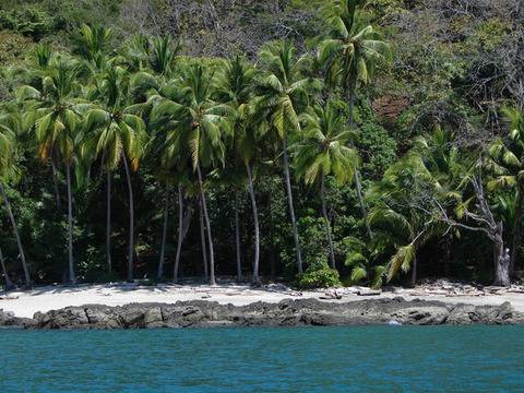 Остров Тортуга – Tortuga island