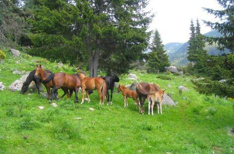 Добро утро! Прекрасен четвъртък