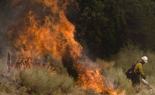 При потушаване на пожар в Аризона загинаха 25 огнеборци