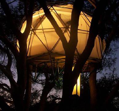 Най-скъпите къщи на дърво видяна 2136 коментари 0