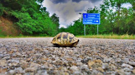 Книга събра пътеписи от забравената България