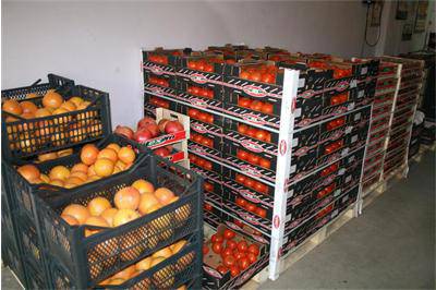 Погнаха с проверки зеленчуковите борси в София