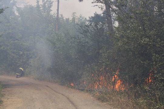 Ексклузивни кадри от пожара в „Меден рудник“