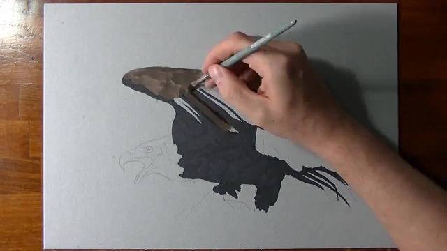 Страхотна реалистична рисунка на орел!