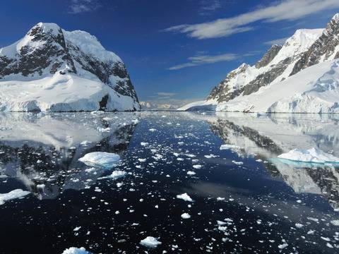 Омега-3 мастни киселини: изгубеното хранително звено