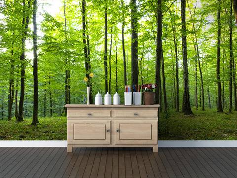 Дизайнерски фототапети