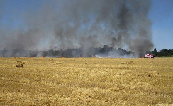 Голям пожар в Турция унищожи над 100 хектара гори