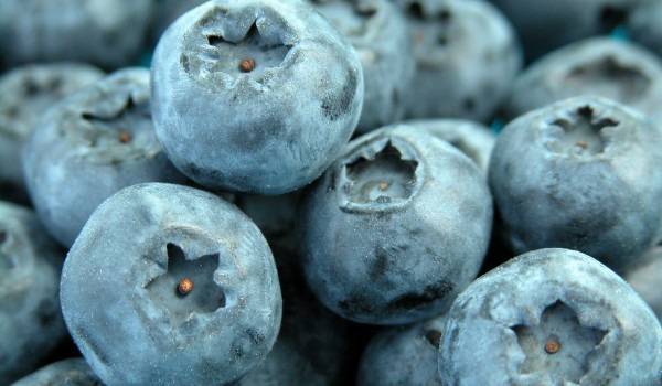 Съхранение на боровинки