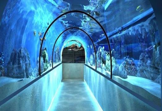 В Русия строят огромен Океанариум и Дисниленд парк