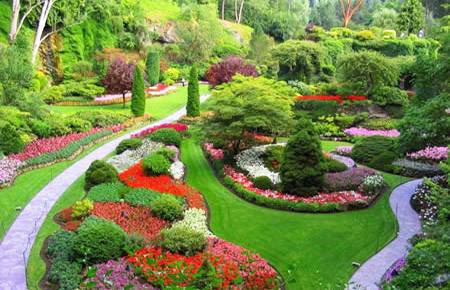 На този ден: 1 август – Ден на градинаря