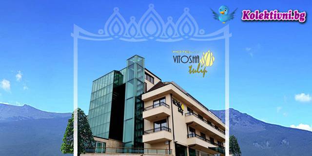 Почивка в полите на Витоша! Нощувка за двама със закуски в луксозния Хотел Витоша Тюлип!