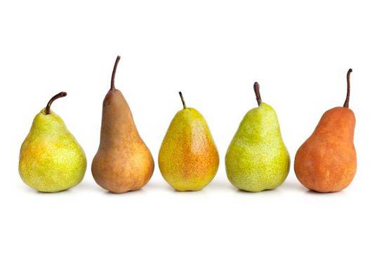 Тайните на крушата