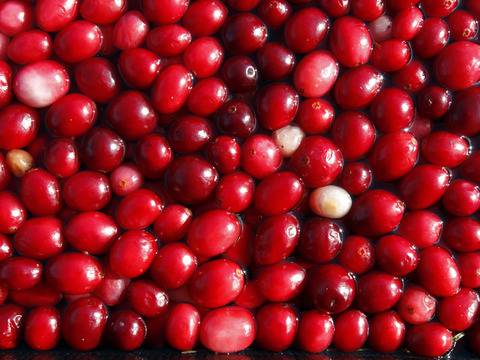 Билки, които помагат при цистит и бъбречни проблеми