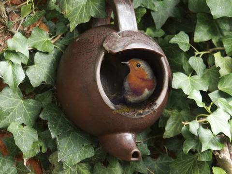 Лесни начини да направим къщичка или хранилка за птици