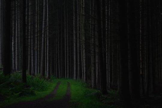 15-те най-призрачни и страховити места в света