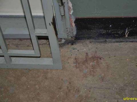 Откриха Мелиса мъртва и хвърлена в Русенски Лом