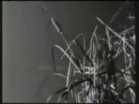 Vaya Con Dios – Time Flies – Превод