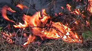 Голям пожар бушува в покрайнините на Стара Загора