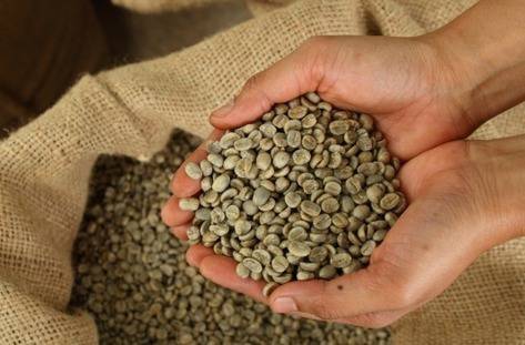 Ползите от зелено кафе