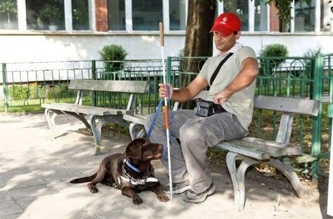 Отказаха достъп до хотел на незрящ с куче водач