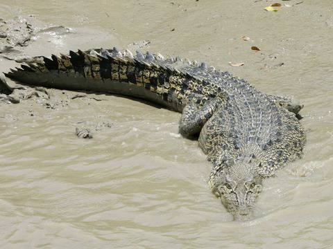 Десет луди контрацептиви