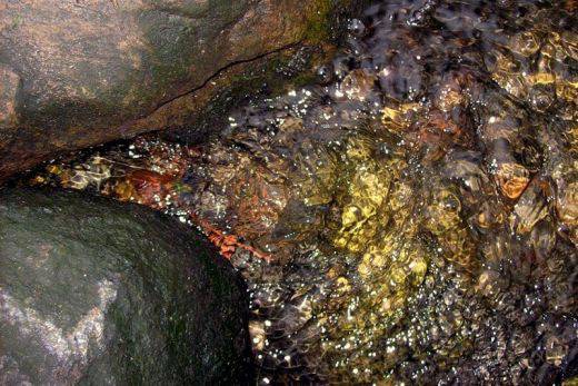 Втори сме по износ на златна руда