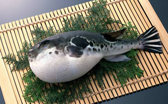 10-те най-опасни деликатеса в света