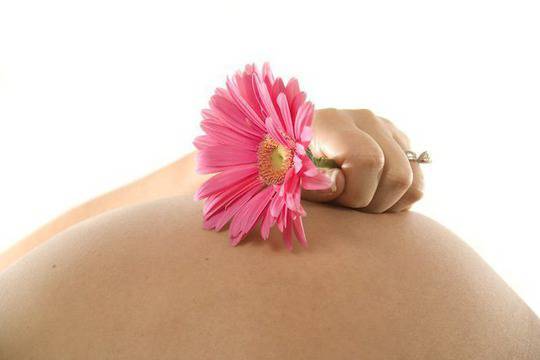 Билки помагащи за зачеване и задържане на плода здравословно