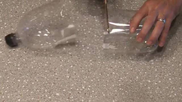 Как да се отървете от досадните комари