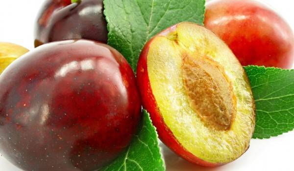 Диета със сини сливи