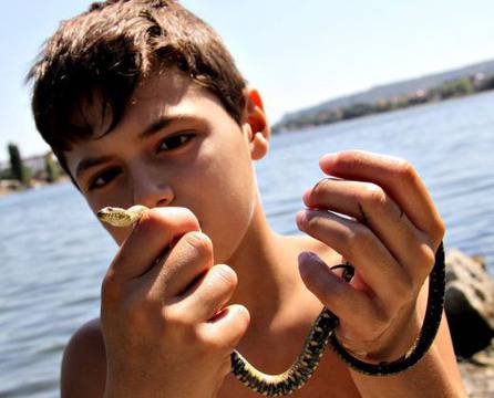 Народът лудна от усойници, пепелянки и смоци!