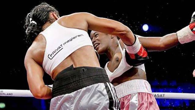 Лъсна цица по време на боксов мач