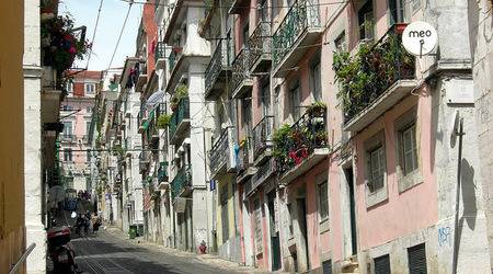 Стаж в Център „Север – юг“ към Съвета на Европа