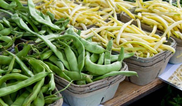 Да си изсушим зелен фасул