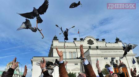 Читателски Дневник: Историята на една жена с рак на гърдата, която чака лекарство от месеци