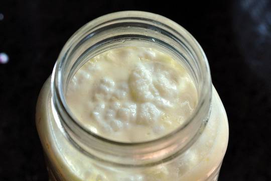 Кефирената напитка, здраве от Изтока