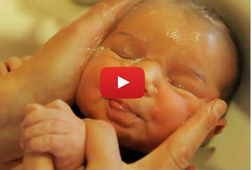 Красотата на живота в 5 минути (ВИДЕО)