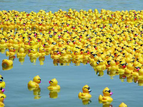 Три хиляди патета ще се състезават по „Марица“