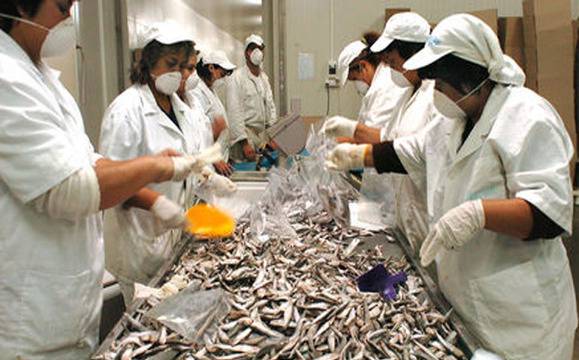 Рибното пристанище в Бургас вече е с нов собственик