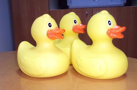 Патета щурмуват река Марица за благородни каузи