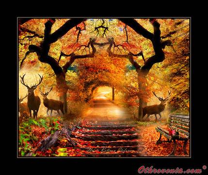 ico10 – Листопад (По есенния път) – колаж: Картички